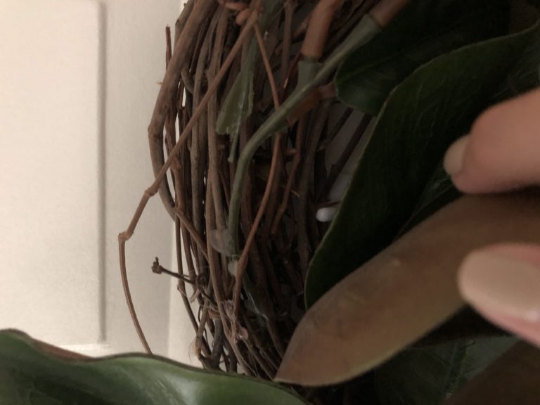 How To Make a Faux Magnolia Wreath (For Under 15!) Birkley Lane